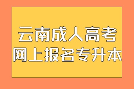 云南成人高考網上報名專升本