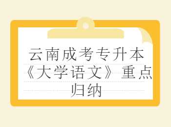 云南成考