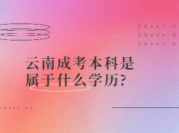 云南成考網(wǎng) 云南成考本科學(xué)歷