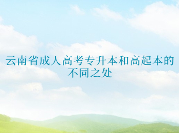 云南成考網(wǎng) 云南省成人高考