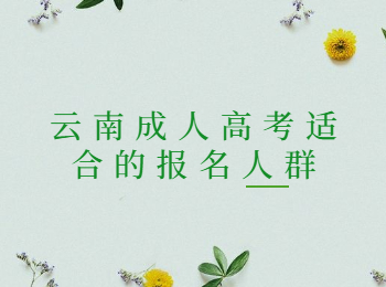 云南成人高考報(bào)名人群