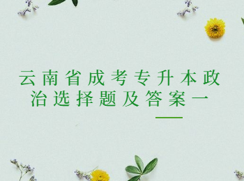 云南省成考專升本政治