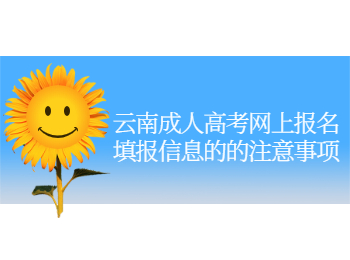云南成人高考網上報名