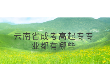 云南省成考高起專專業(yè)