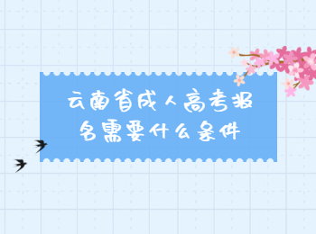 云南省成人高考報(bào)名條件