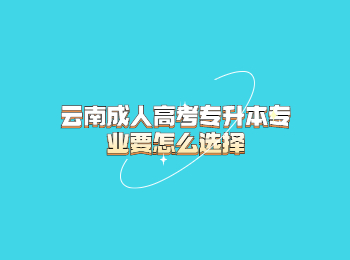 云南成人高考專升本專業