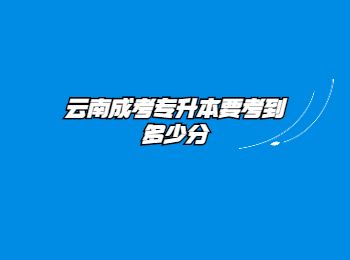 云南成考專升本 云南成考