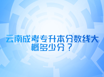 云南成考專升本分數線