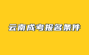 2024年云南成考報名需要滿足什么條件?