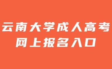 2024年云南大學(xué)成人高考網(wǎng)上報名入口是那個？