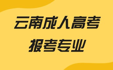 2024年云南成人高考報考專業推薦有哪些？