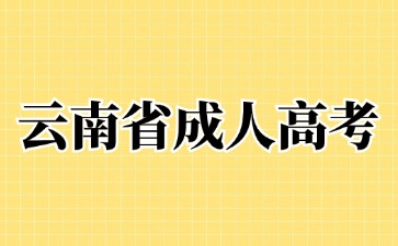 2024年云南成考學歷與統招學歷是等同效力嗎?
